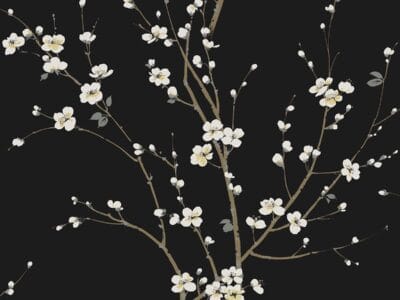 Cherry Branches
